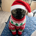 avatar Butternut Frimes