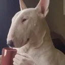 winstonww