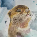 chrissiw
