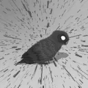 Аватар blackgolub