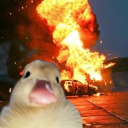 avatar LiLPui