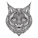 bobcatbts