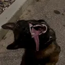 .haah.