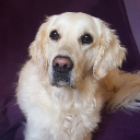 avatar KairiNotFound 🐾