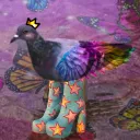 pigeonwithfunkyboots