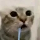 lorlorak