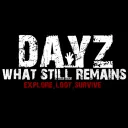 dayzwsr7870