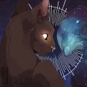 nova_bean