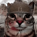 avatar .𝒟𝑒𝑒𝓇.