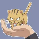 tigerpowa