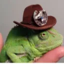 comradechameleon3789