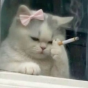 avatar iwishuwellinhell