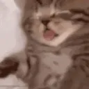 extyogi