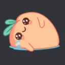 aprykka