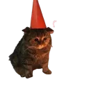 oigboi