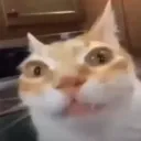 fortooga