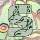sag3c1aw