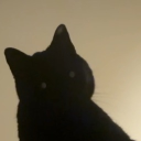 avatar semiactivates