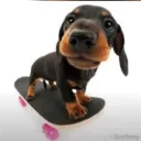 butadog