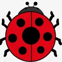 Zadium's Avatar