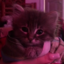 avatar ! 𝕊𝕝𝕒𝕕𝕜𝕒𝕪𝕒 𝕞𝕖𝕤𝕥