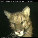 avatar Flash10 הלורד