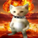 chariswrong