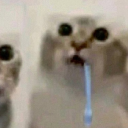 avatar [pipo!]