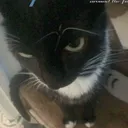 ._.luxz