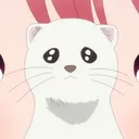shumiiberry