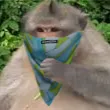 therandomone20
