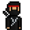 thestealthninja