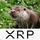 loutre_furtive
