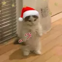 Аватар vladosik28