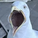 50molesofnacl