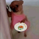 avatar nhiệm vụ hệ thống