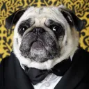 Аватар gentlejhorik