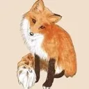 lilfox3283