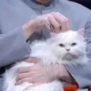 mrbigglesworth44