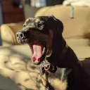josef.com