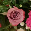 gummybear2319