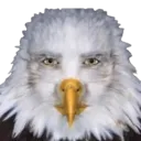 bstonks avatar