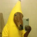 oopandy0o