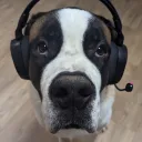 yubeehard