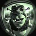 hardweeck
