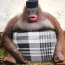 nosajed avatar
