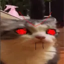 aligatorelgator avatar