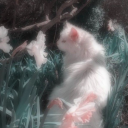 avatar chloe ⁺⊹ ݁˖