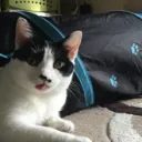 ittakesalkynes