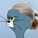 lilc_npz